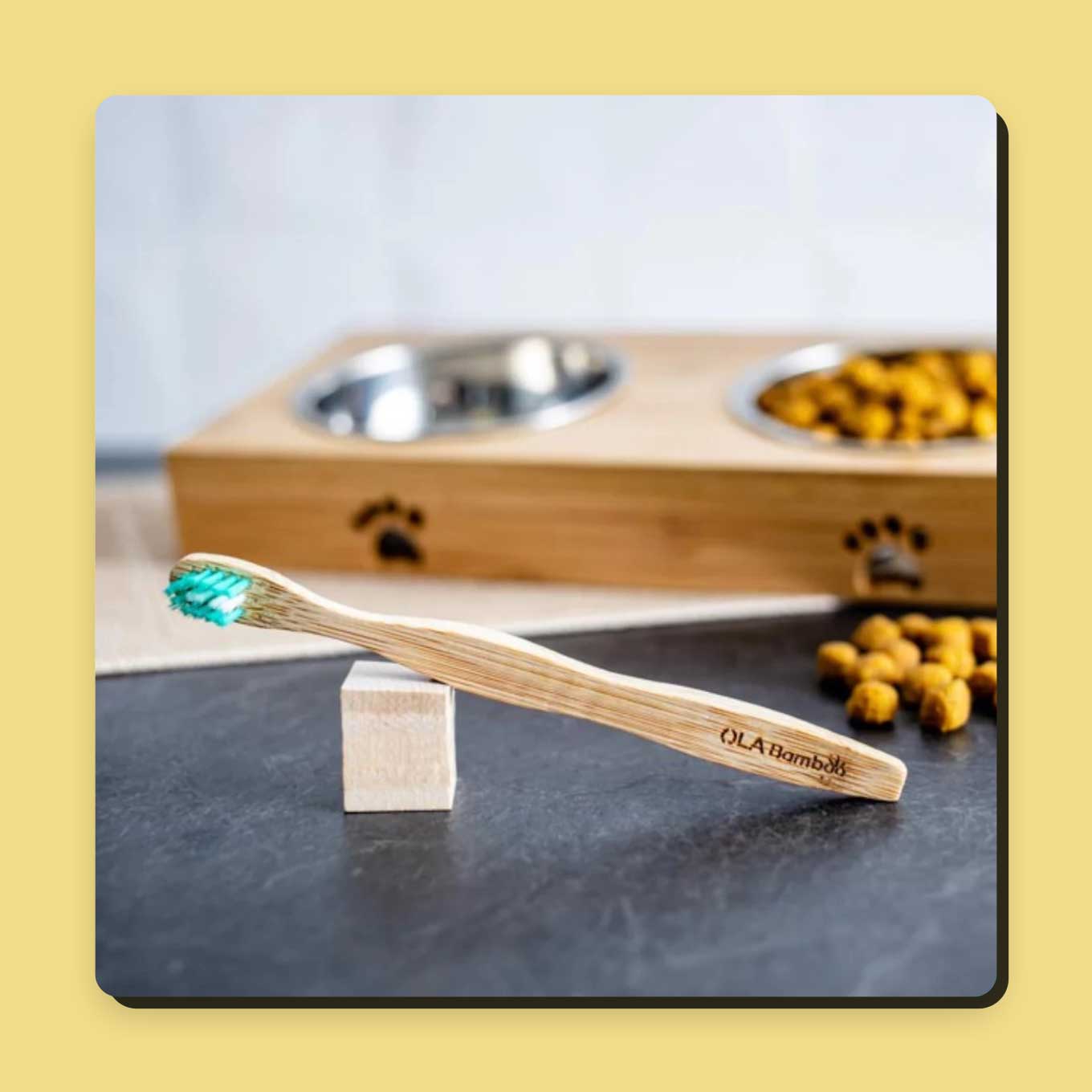 42 Best Sustainable Pet Products for Dogs & Cats (2023)