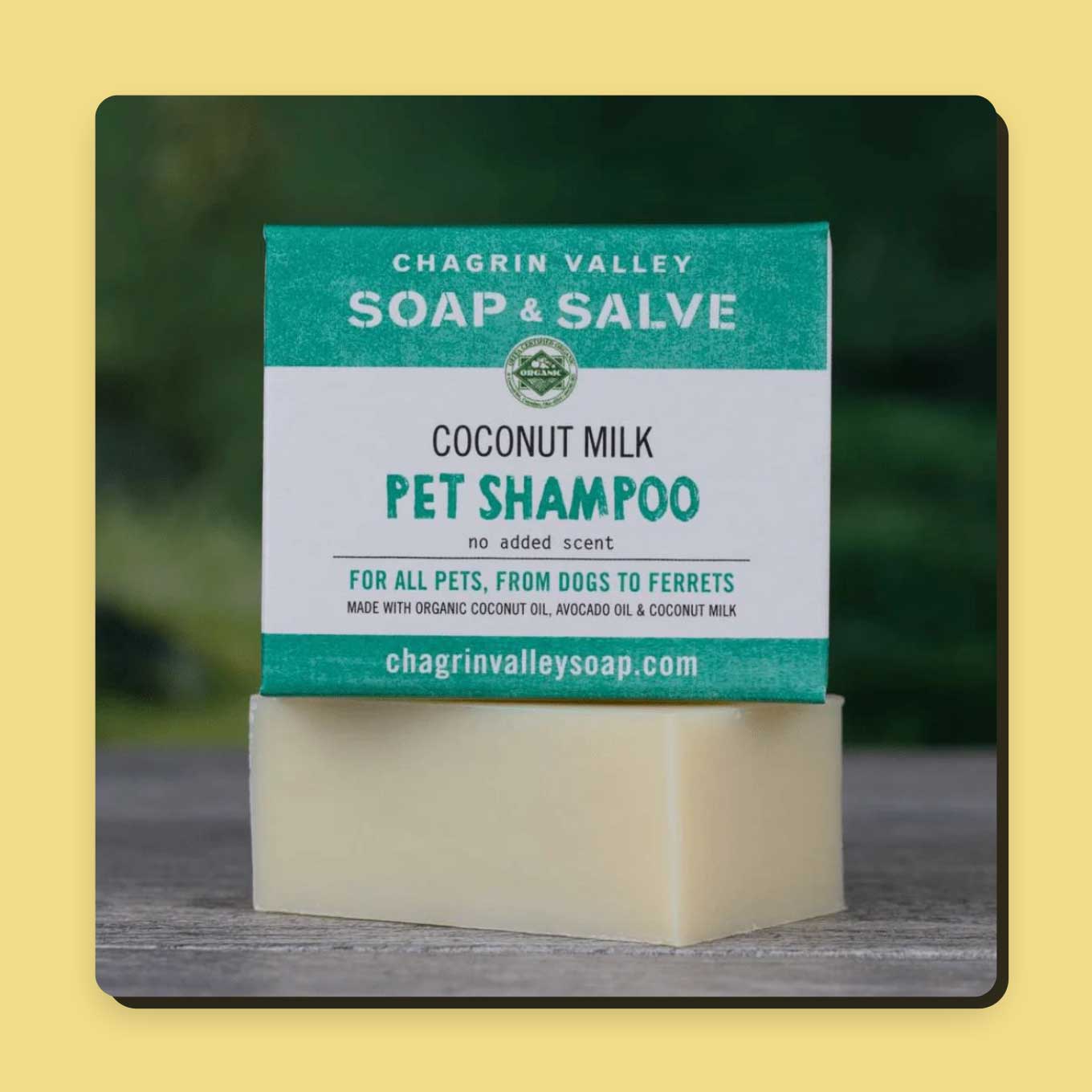 42 Best Sustainable Pet Products for Dogs & Cats (2023)