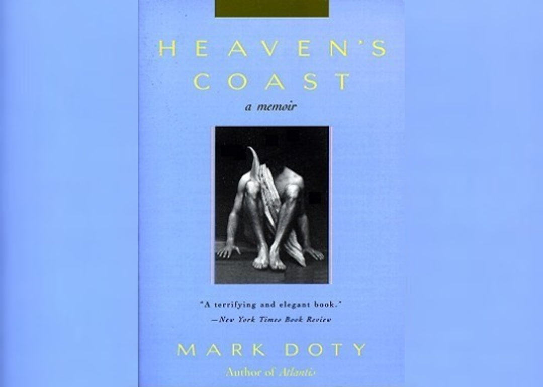 25 Best Books About the HIV/AIDS Experience