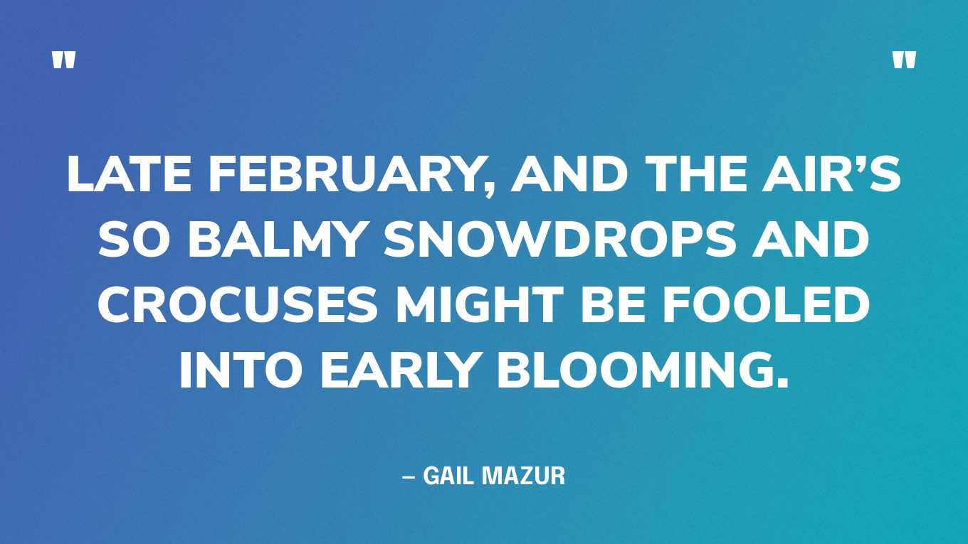 “Late February, and the air’s so balmy snowdrops and crocuses might be fooled into early blooming.”— Gail Mazur