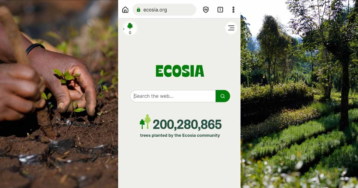 Sustainabilitycentric search engine Ecosia reaches milestone of 200