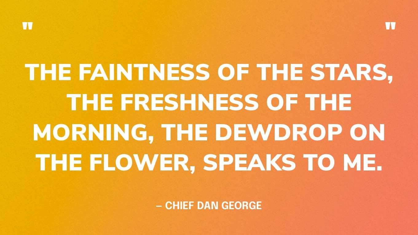 “The faintness of the stars, the freshness of the morning, the dewdrop on the flower, speaks to me.” — Chief Dan George