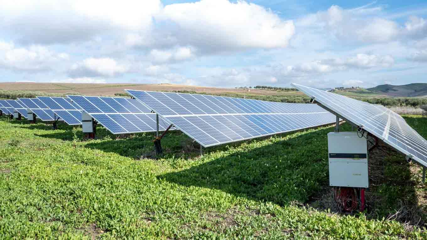 Blue solar panels on a green grass field