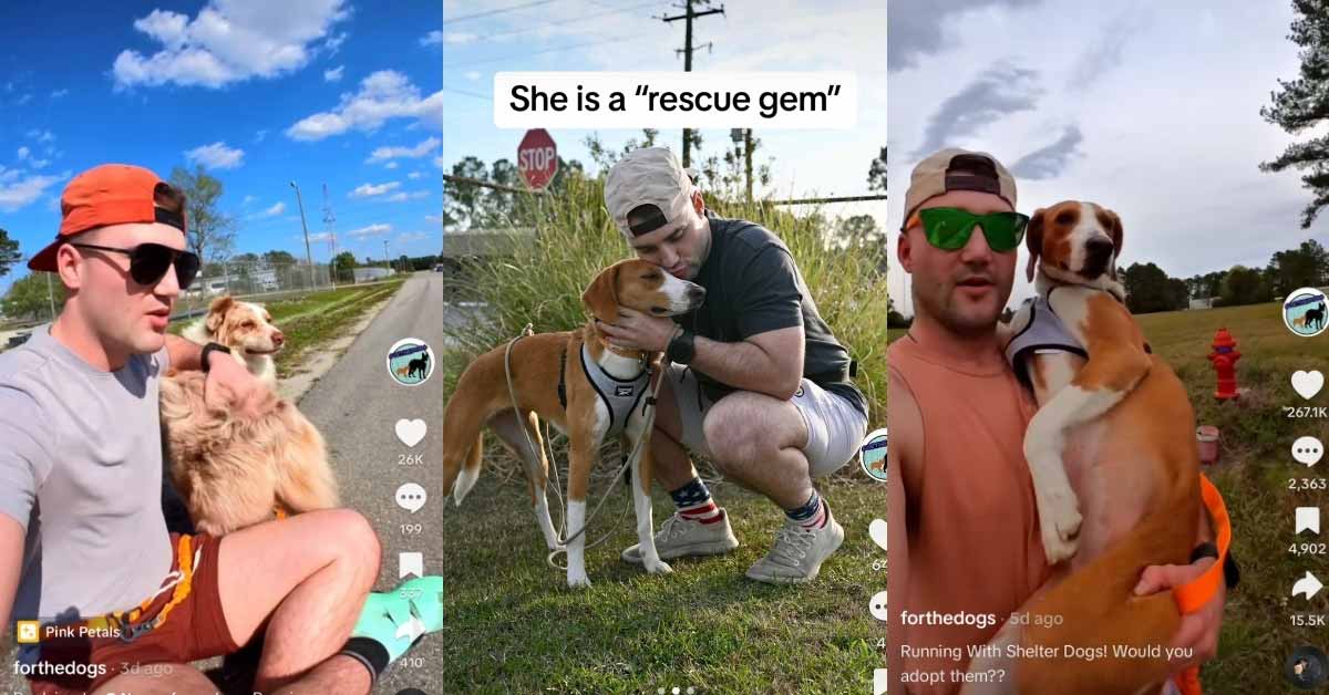 TikToker's unique method of volunteering with disobedient shelter dogs