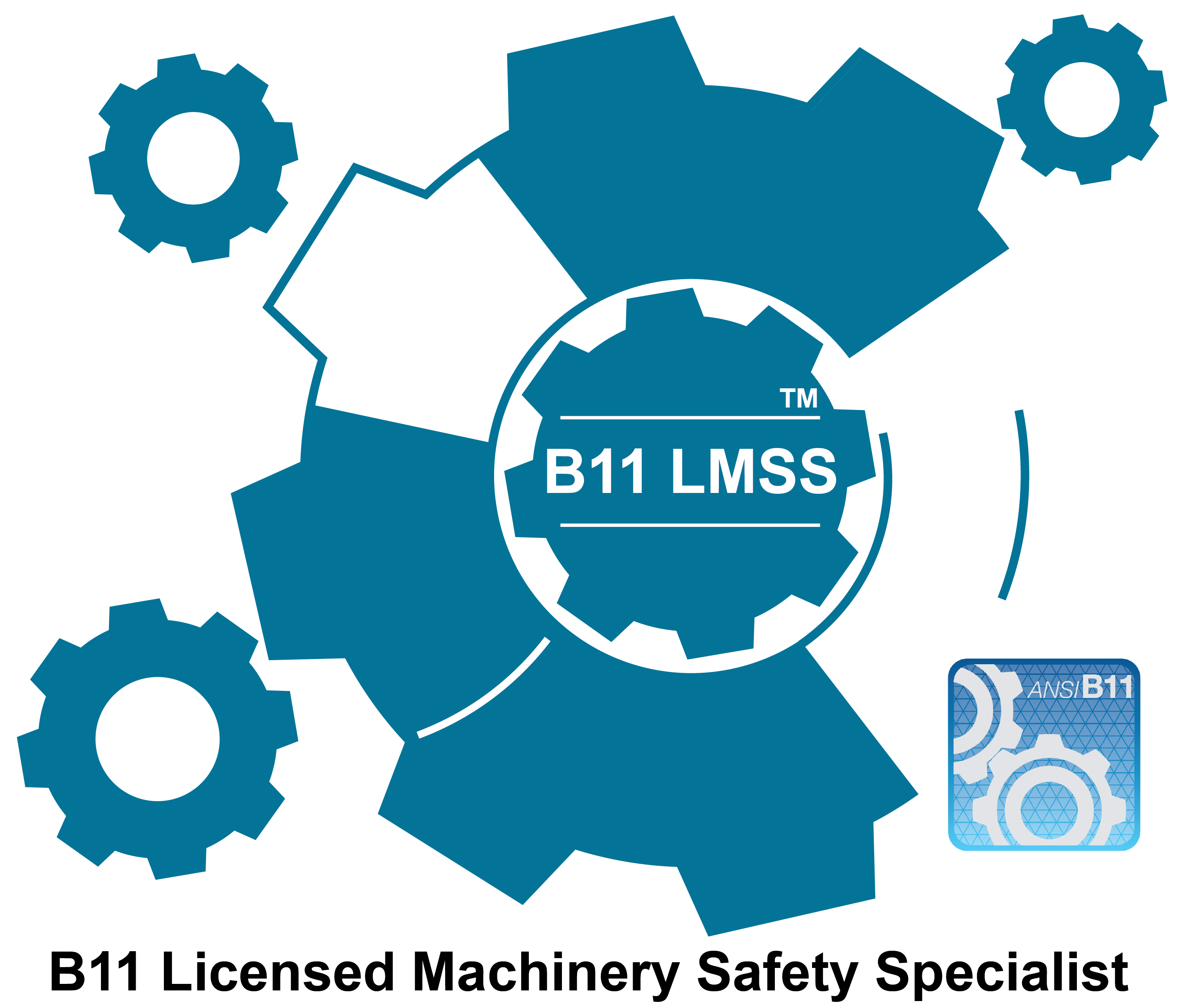 What is B11 LMSS™