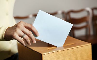 Board elections