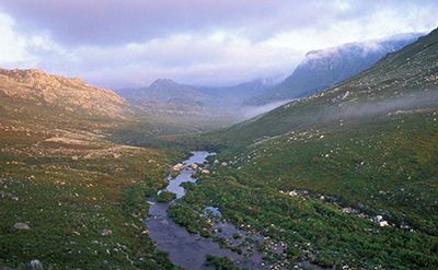 Palmiet River