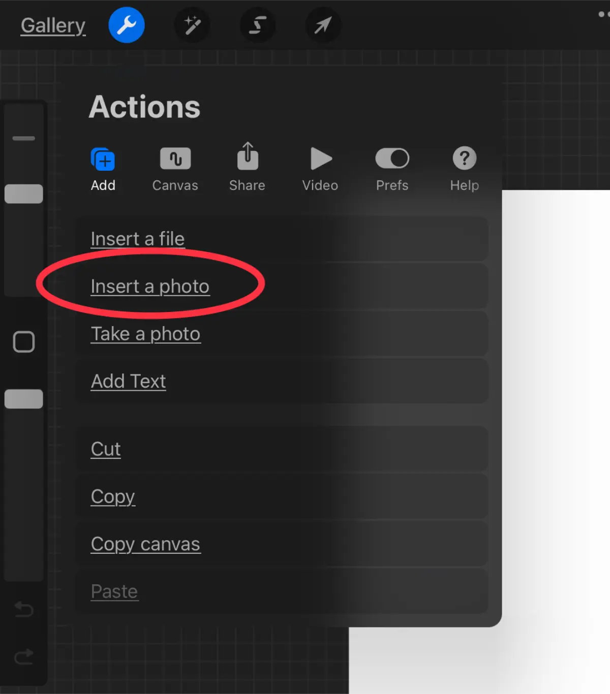 How to insert a photo onto your Procreate canvas.