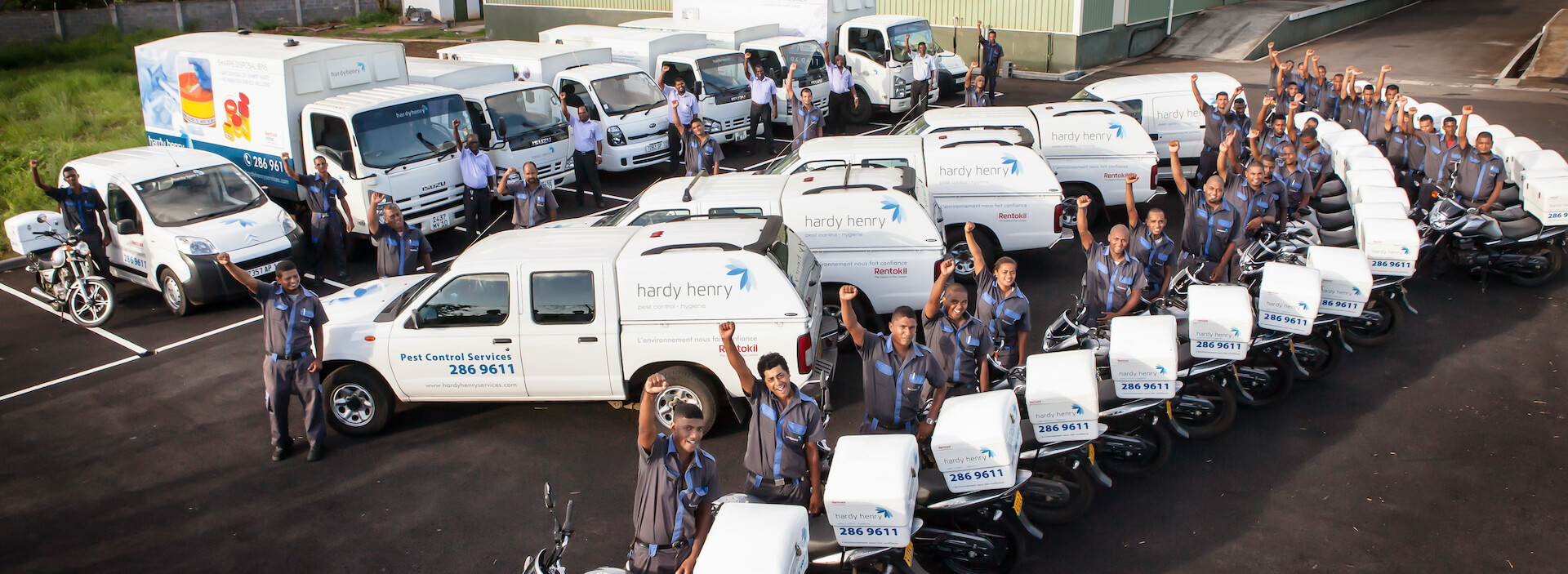 Common household pests in Mauritius