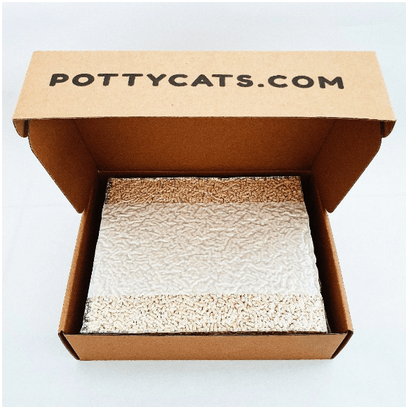 8 Best Cat Litter Brands In Malaysia