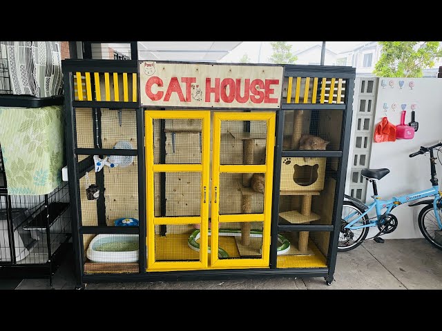Rumah kucing: Tips dan segalanya yang anda perlu tahu