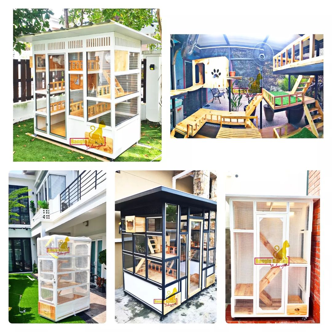 Rumah kucing: Tips dan segalanya yang anda perlu tahu