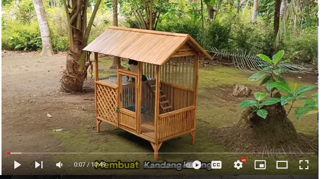 Rumah kucing: Tips dan segalanya yang anda perlu tahu
