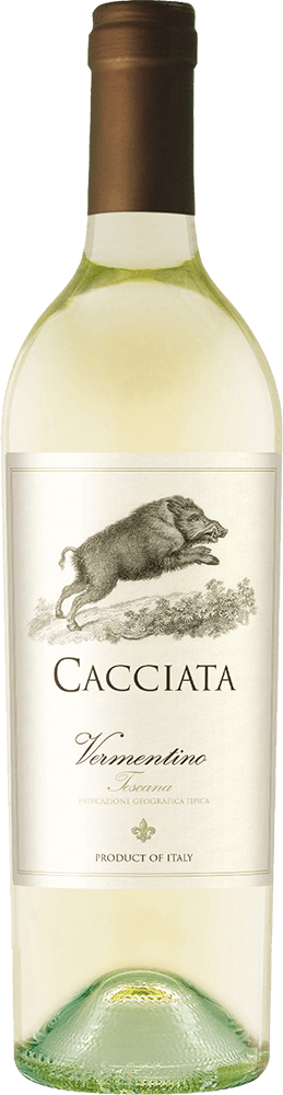 Cacciata wine brand Vermentino bottle shot and label samples