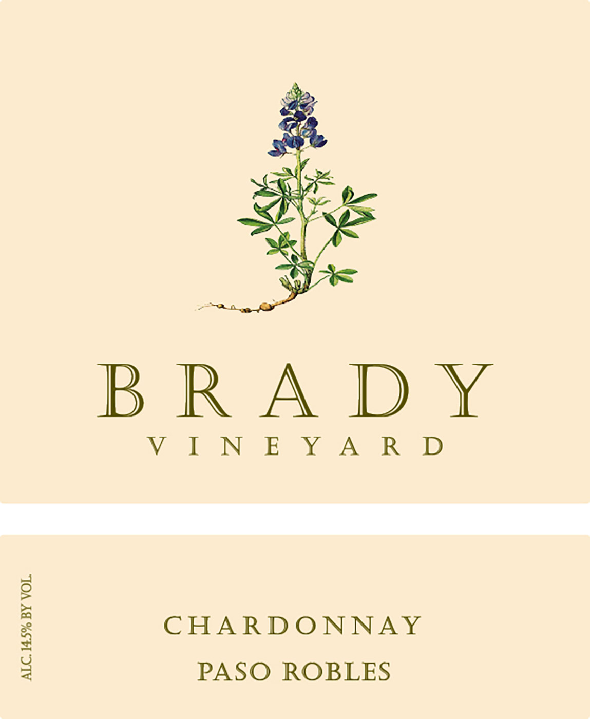 Brady Vineyards brand Chardonnay wine bottle front label sample