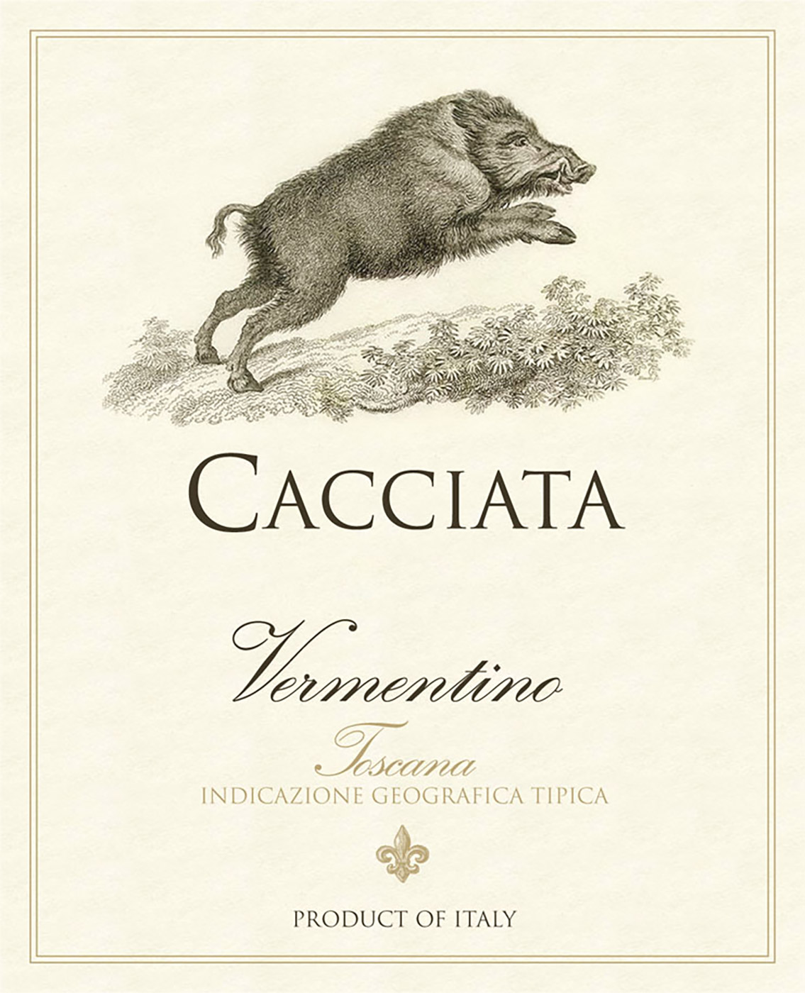 Cacciata brand Vermentino wine bottle front label sample