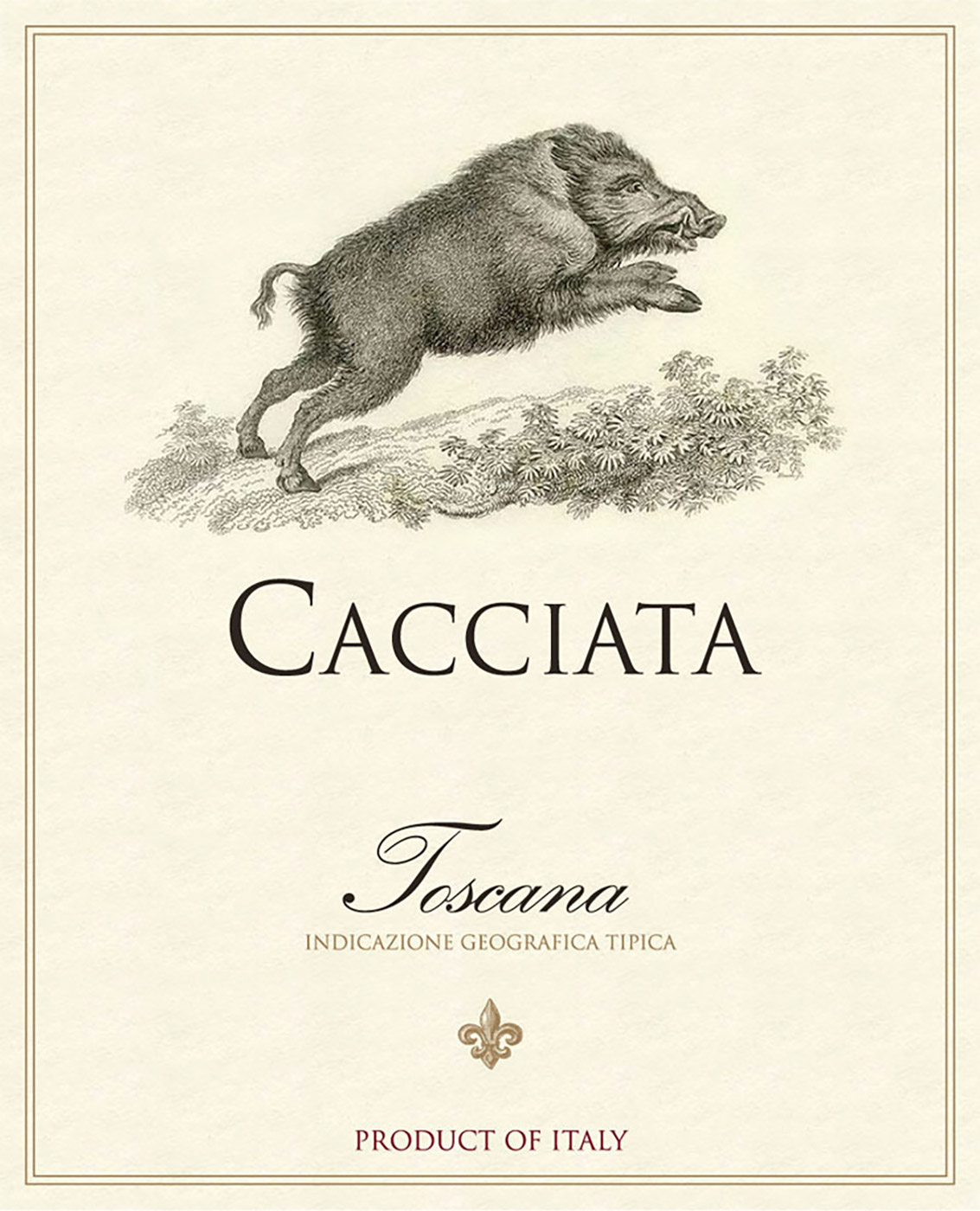 Cacciata brand Toscana wine bottle front label sample