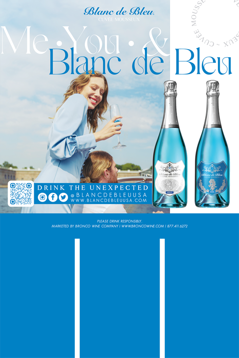 Blanc de Bleu brand Miscellaneous Case Card sample