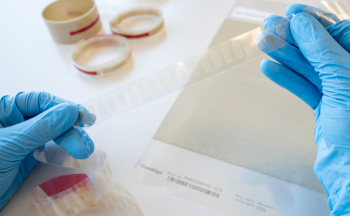 Ynvisible: Cost-Effective E-paper Display Manufacturer