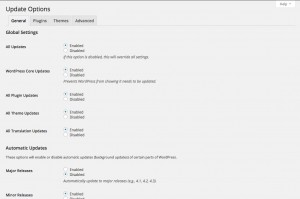 automatically-update-wordpress-core-plugins-theme-plugin