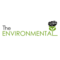 The Environmental Review