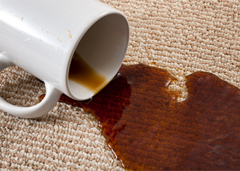 Carpet stained with coffee from spilt coffee mug