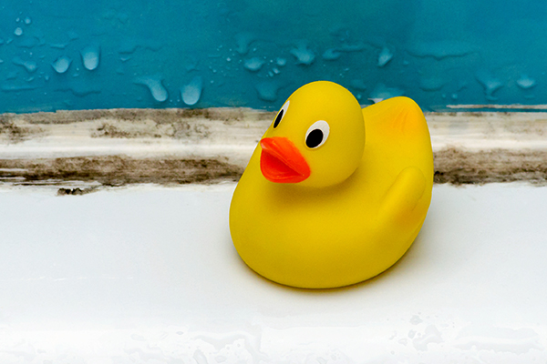 Rubber duck on edge of bath with dirty grout