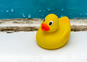 Rubber duck on edge of bath with dirty grout