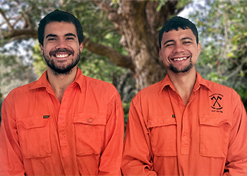 Vinnie and Michael Wiktora from Wiktora Bros Tree Works - Tree Services