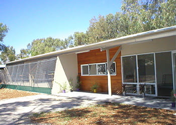 Front of Chicas Cats building - Cattery