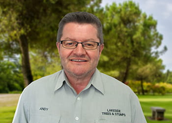 Andy from Lakeside Trees & Stumps - Tree Services