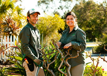 The team from Weeding Women Fremantle - Garden Services