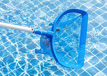 Pool net scooping leaves from a pool