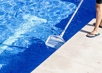 person scooping leaves from a pool