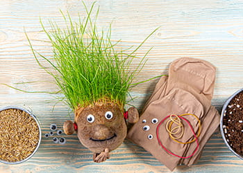 grass head materials and a finished grass head