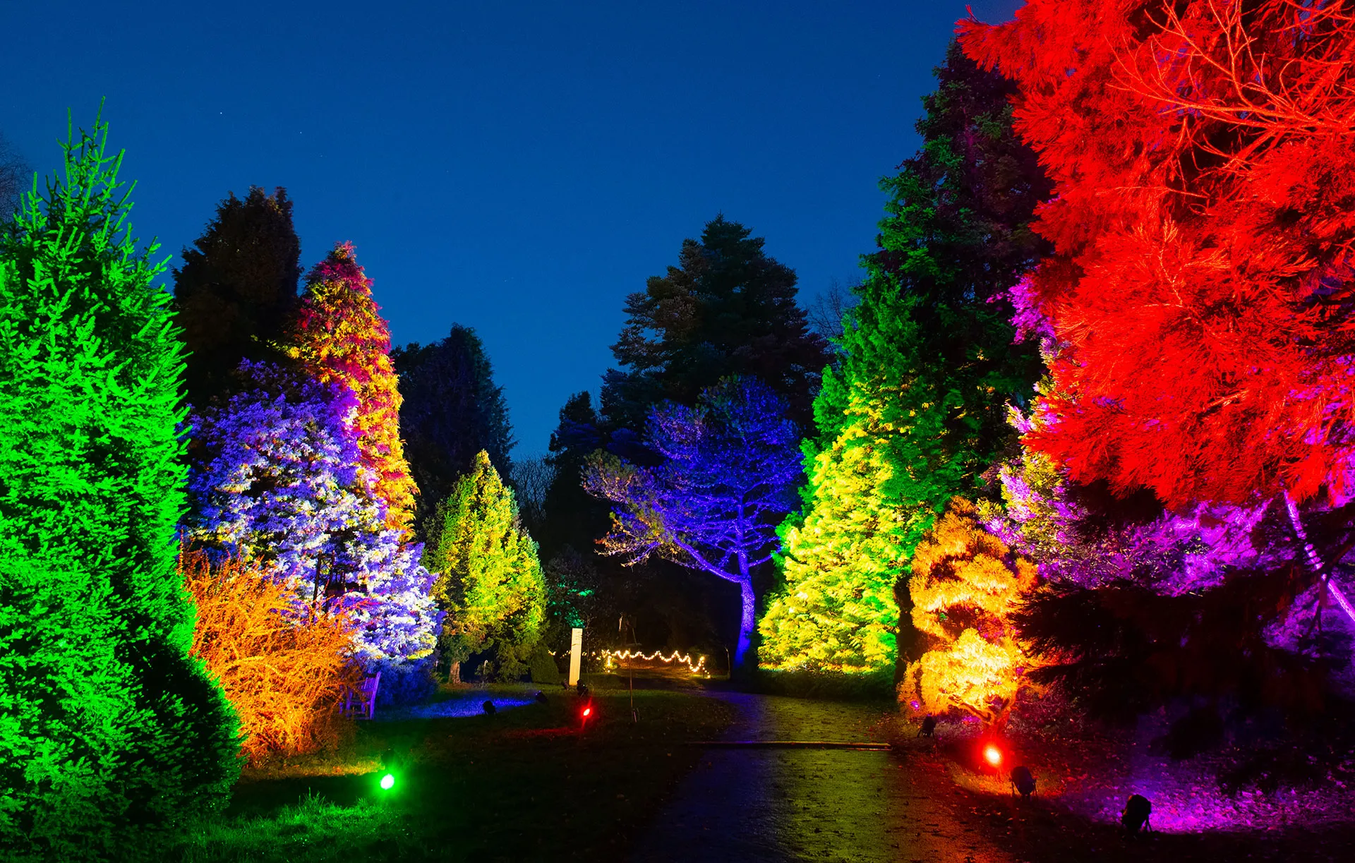Light Up Hillier Gardens | Light Up Trails