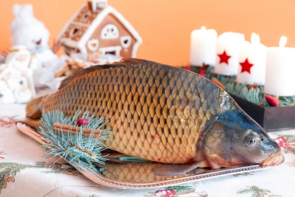 Christmas Carp