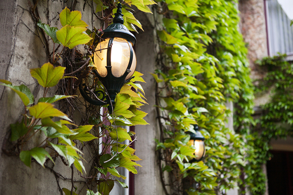 Bruges Lamps