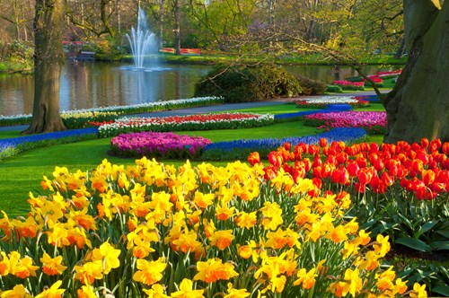 Keukenhof Gardens