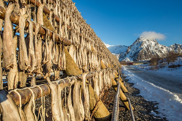 Norwegian Dried Fish