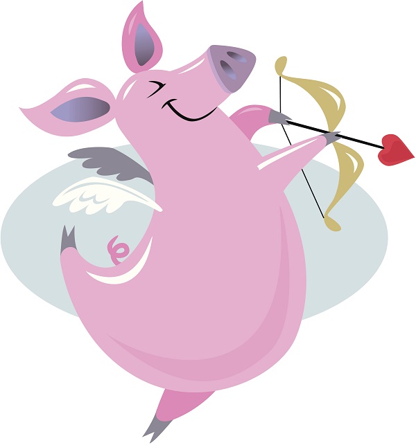 Pig Cupid