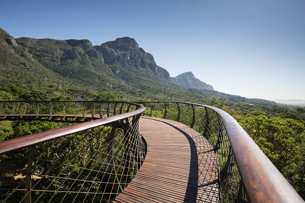 Kirstenbosch