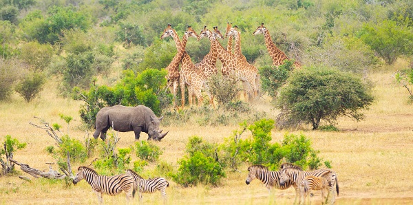 Kruger National Park