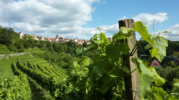 Rothenburg Vineyard