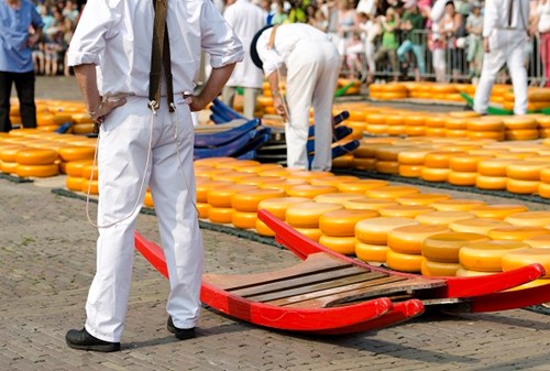 Alkmaar Cheese Market