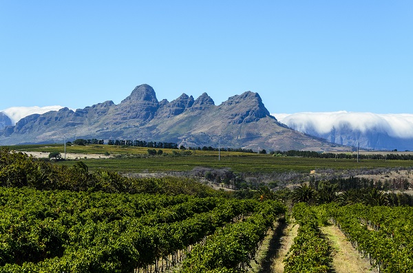 Stellenbosch