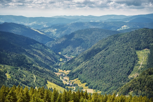 View From Feldbergturm