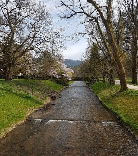 Baden-Baden Lichtentaller Allee