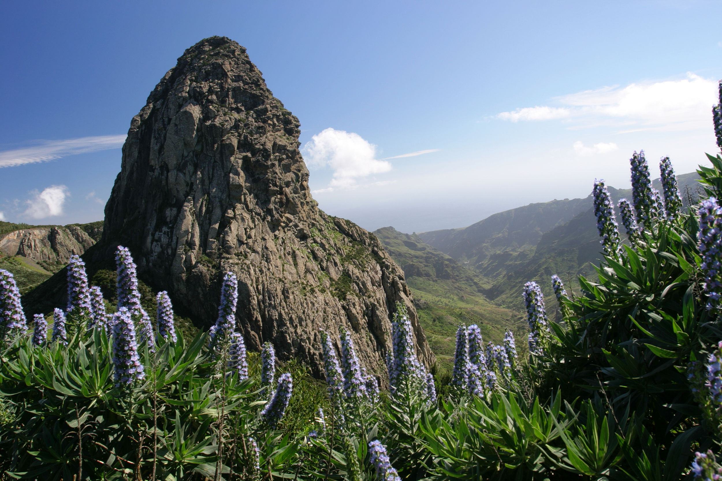 Roque De Agando