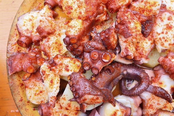 Galicia Octopus